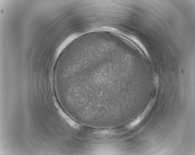 X0000059841054200511181508