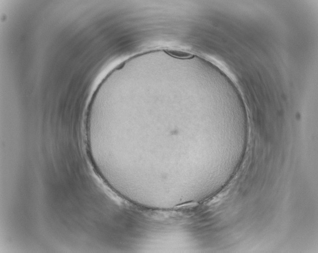 X0000059841056200511181508