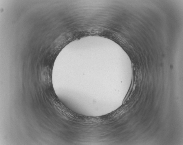 X0000059841058200511181507