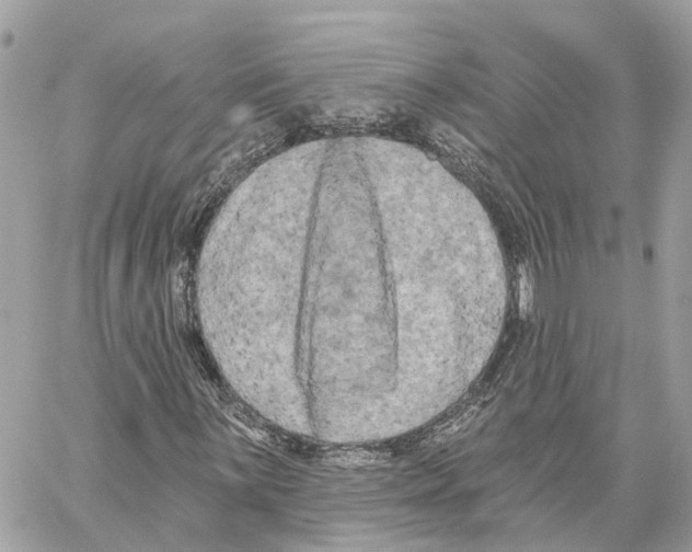 X0000059841059200511181507