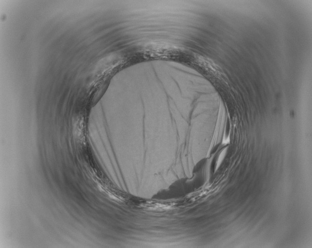 X0000059841060200511181507