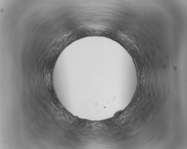 X0000059841061200511181507