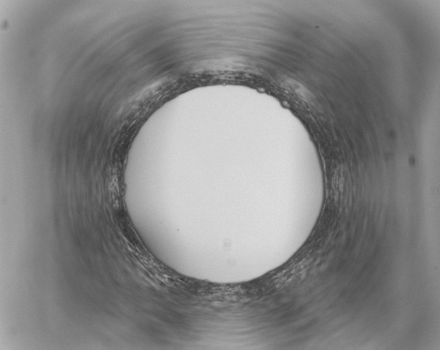 X0000059841062200511181507