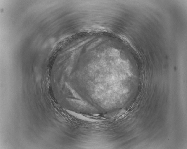 X0000059841063200511181507