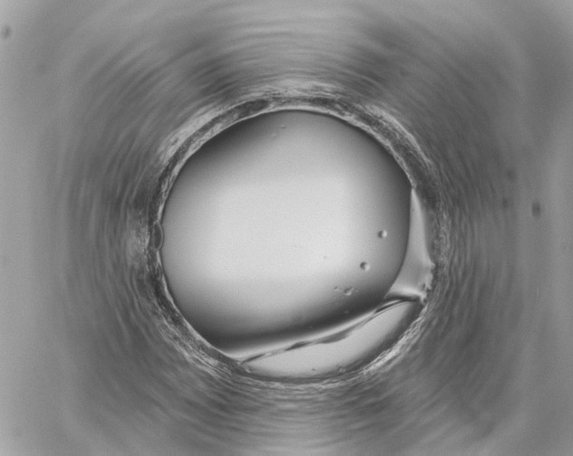 X0000059841065200511181507