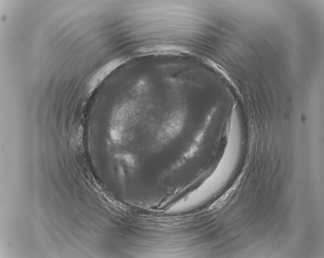 X0000059841066200511181507