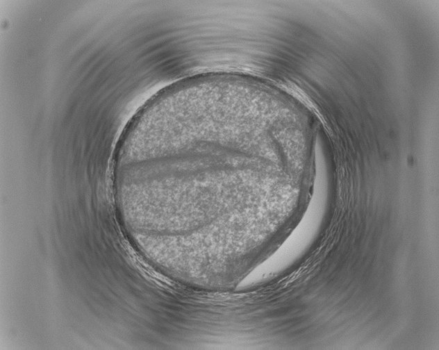 X0000059841068200511181507