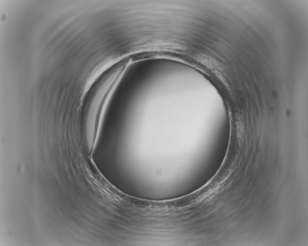 X0000059841069200511181507