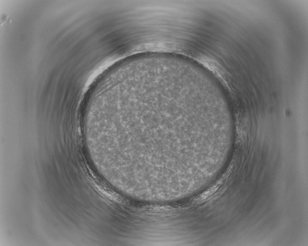 X0000059841070200511181507