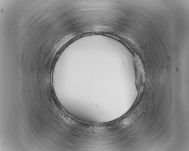 X0000059841073200511181507