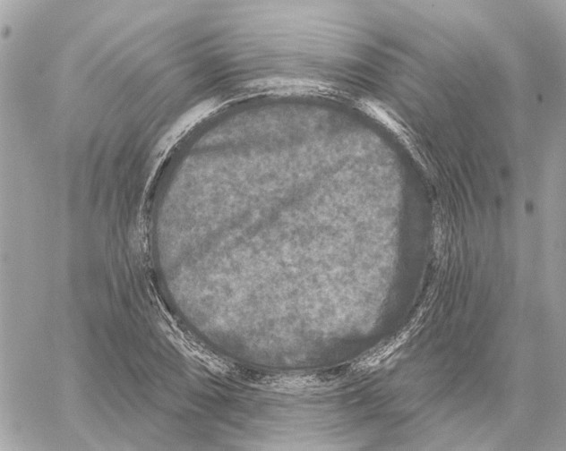 X0000059841074200511181507