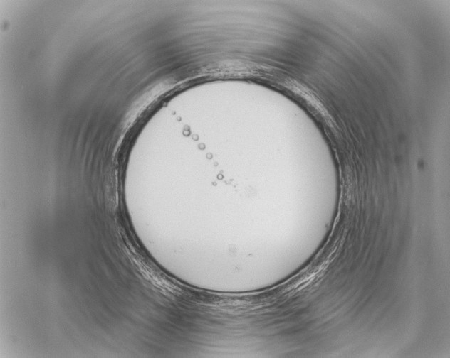 X0000059841075200511181507