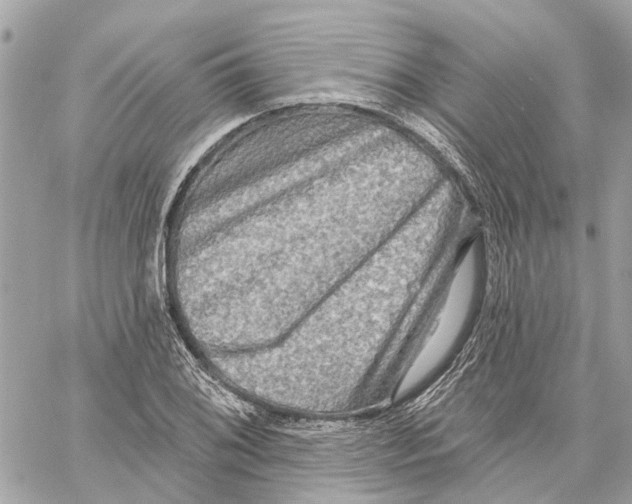 X0000059841076200511181507