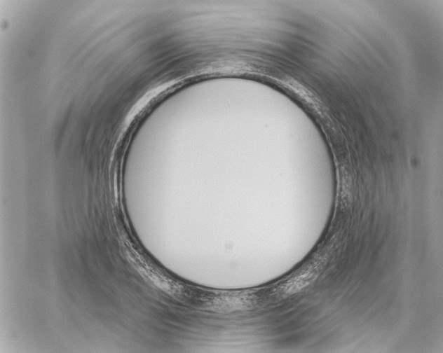 X0000059841078200511181507