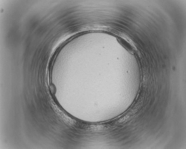 X0000059841080200511181507