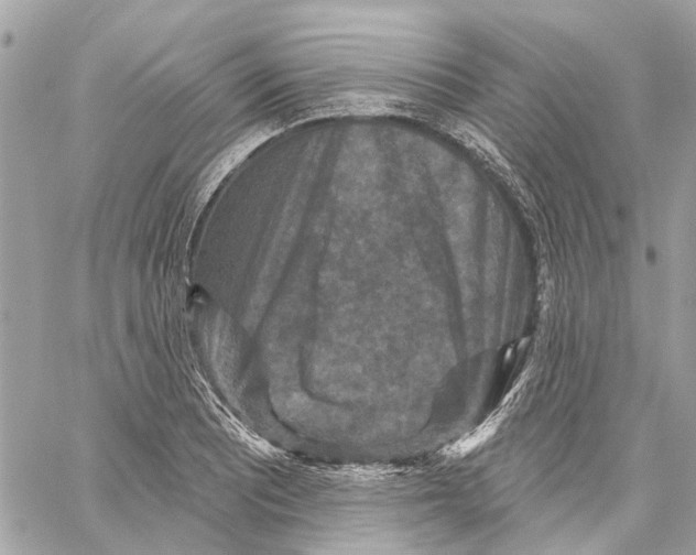 X0000059841081200511181507