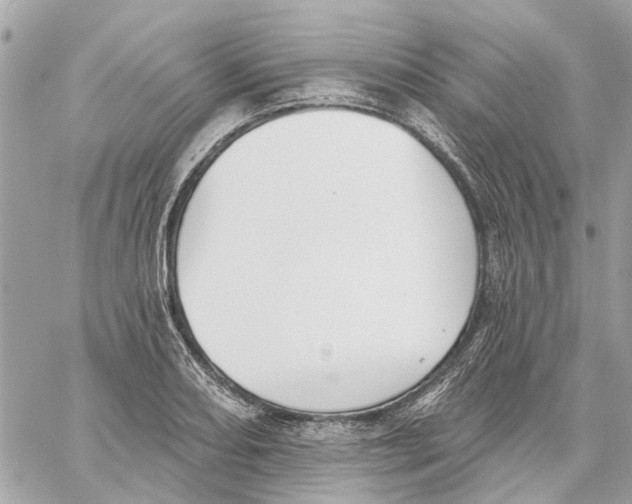 X0000059841082200511181507