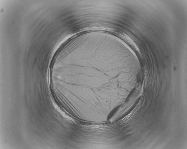 X0000059841084200511181507