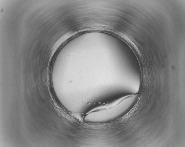 X0000059841085200511181507