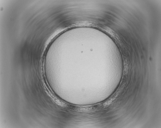 X0000059841086200511181507