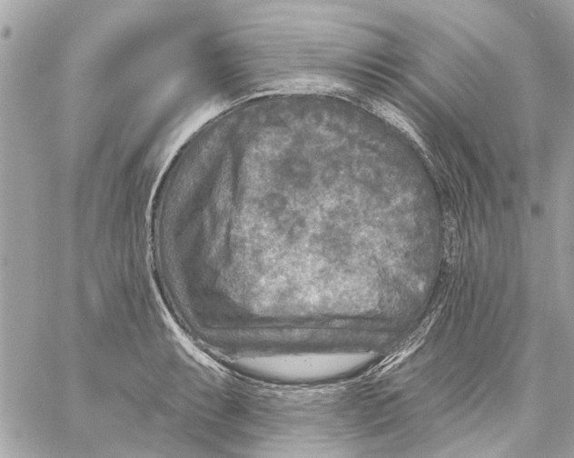 X0000059841087200511181507