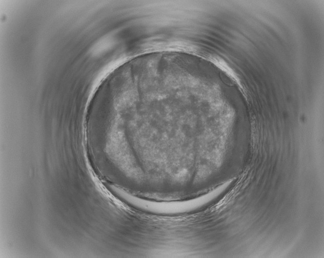 X0000059841088200511181507