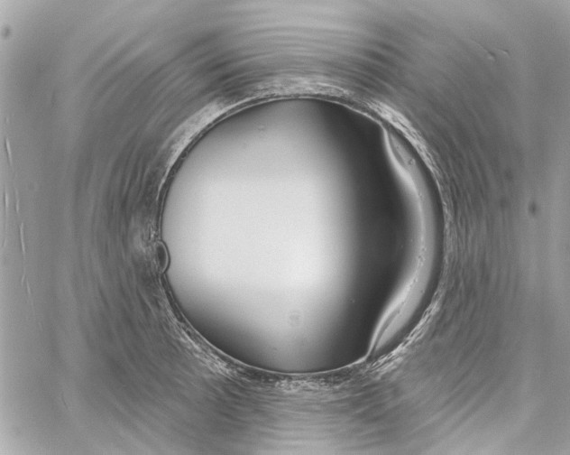 X0000059841089200511181507