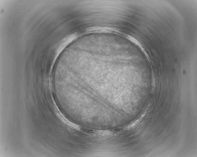 X0000059841090200511181507