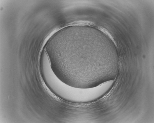 X0000059841091200511181507