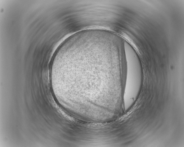 X0000059841092200511181507