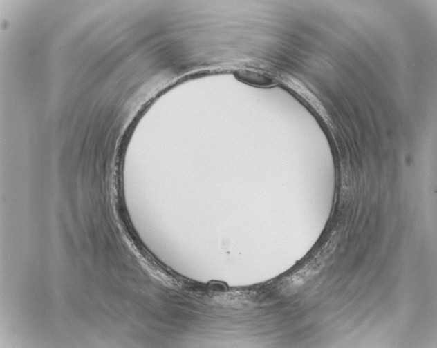 X0000059841093200511181507