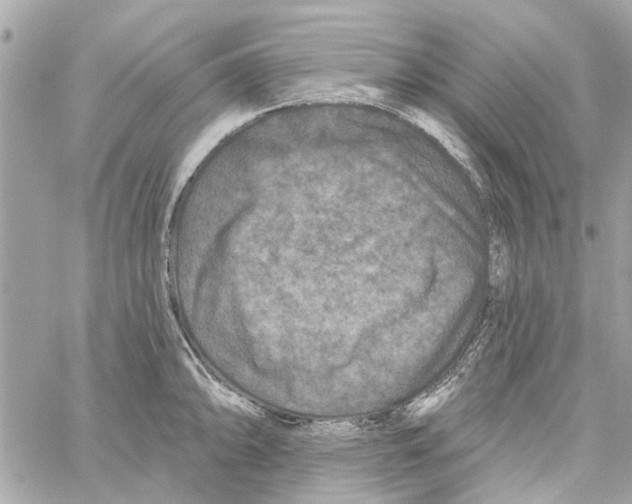 X0000059841094200511181507