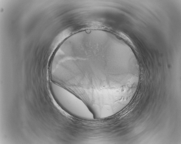 X0000059841095200511181507