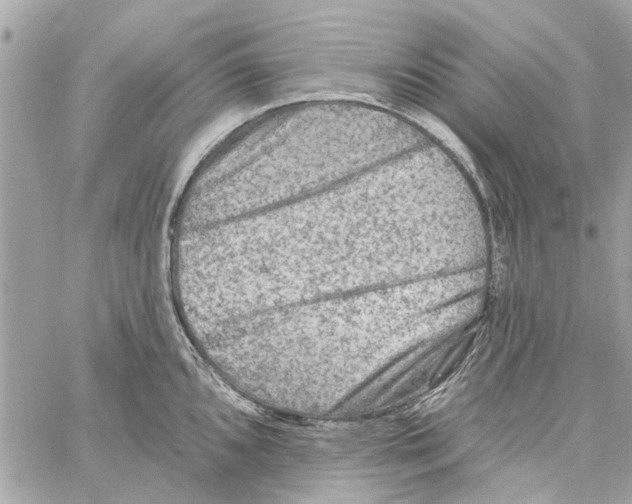 X0000059841096200511181507