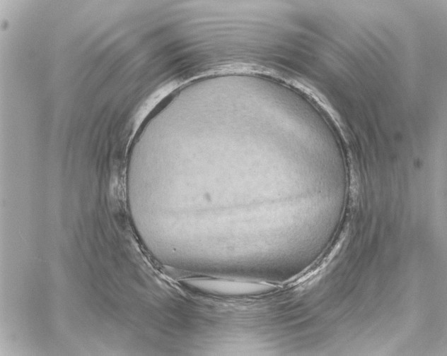 X0000059841097200511181507