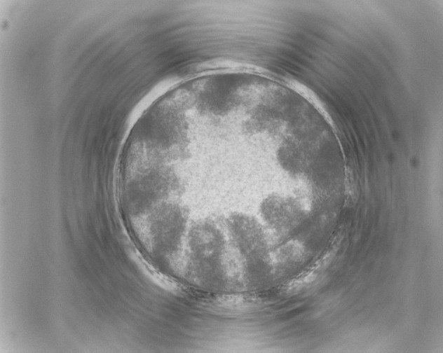 X0000059841098200511181507