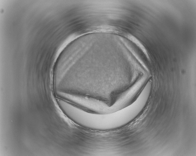 X0000059841099200511181507