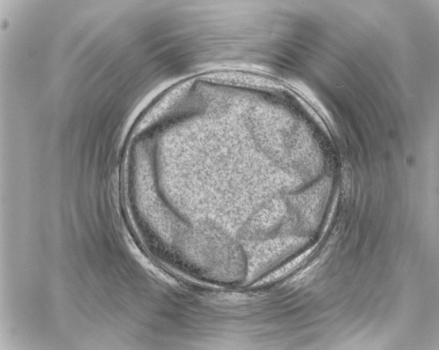 X0000059841100200511181507