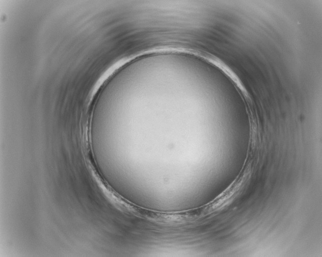 X0000059841101200511181507