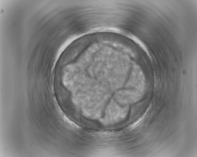 X0000059841102200511181507