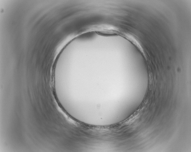 X0000059841103200511181507