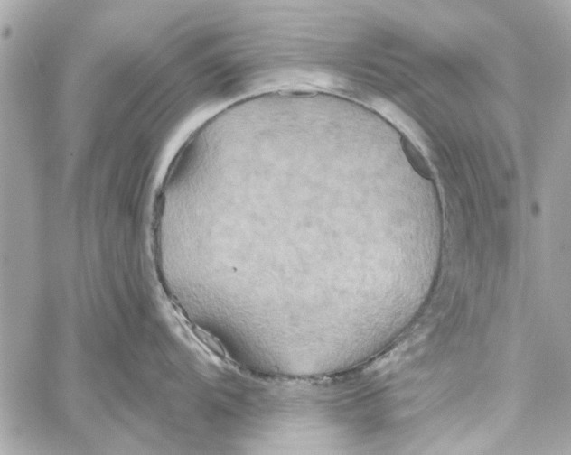 X0000059841104200511181507