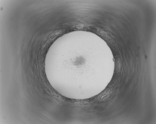 X0000059841105200511181506