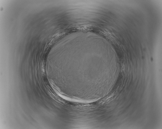 X0000059841106200511181506