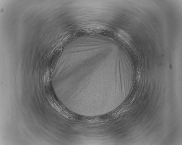 X0000059841108200511181506