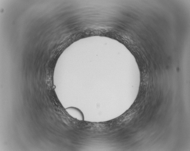 X0000059841109200511181506