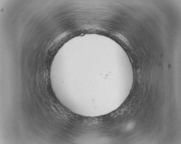 X0000059841111200511181506