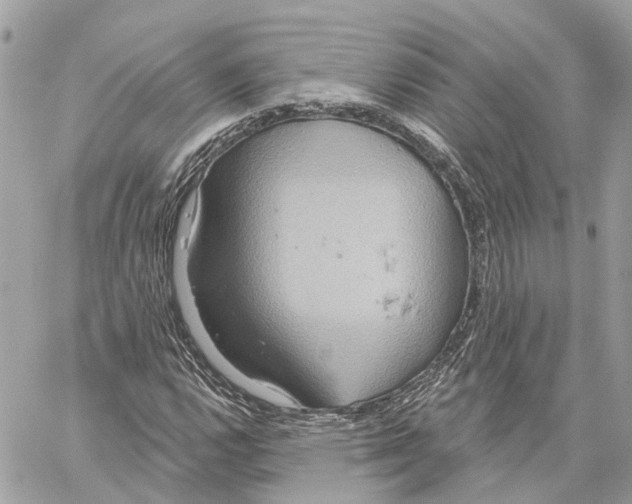 X0000059841112200511181506