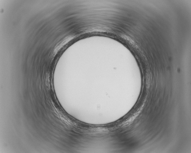 X0000059841113200511181506