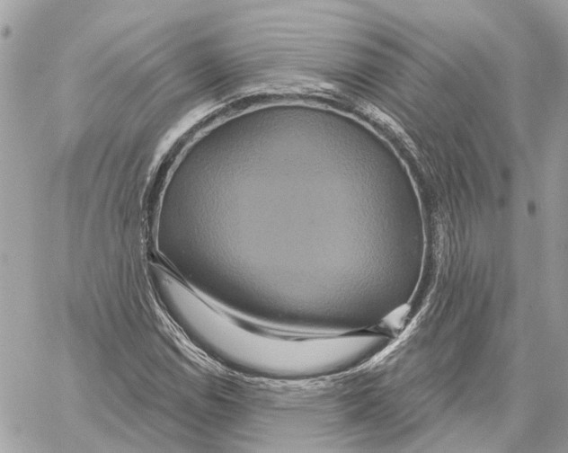 X0000059841114200511181506